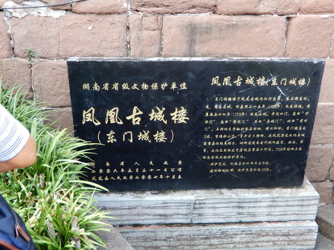DSCN2623