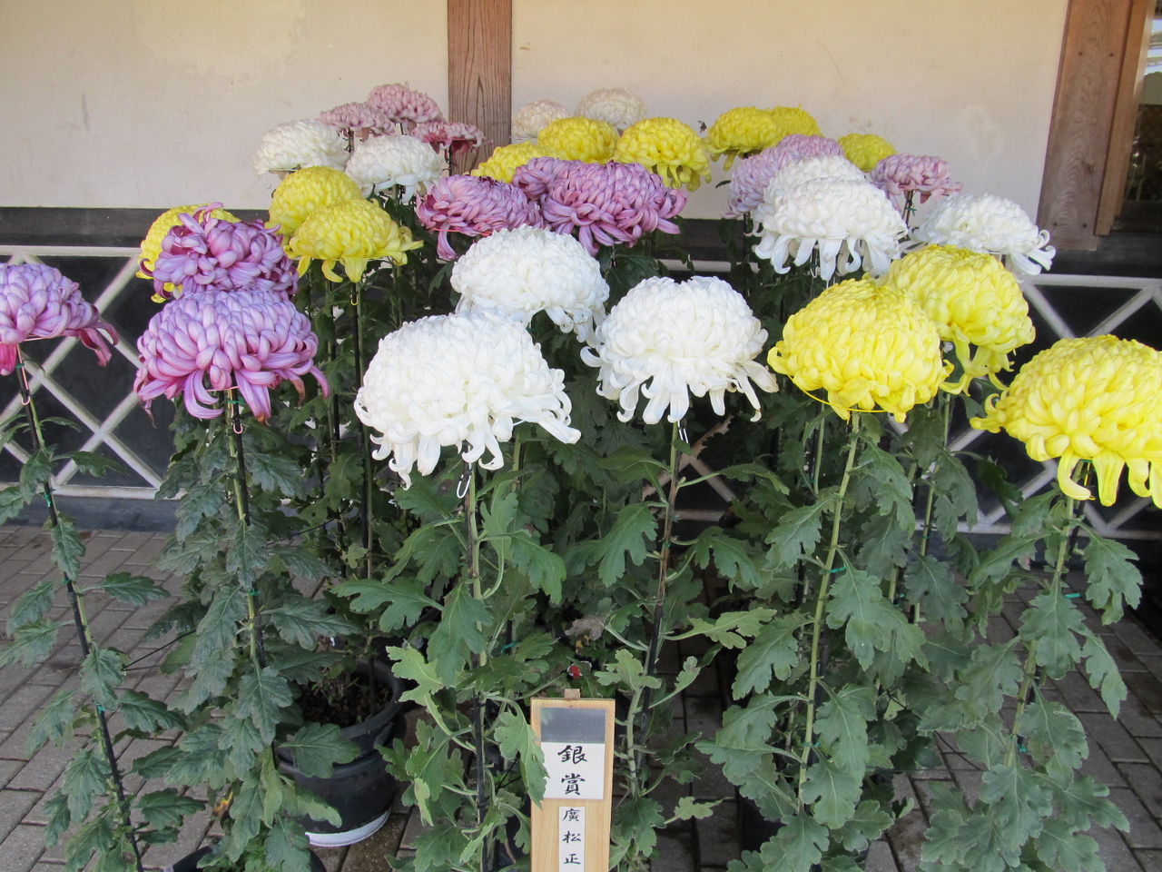 イメージ 6