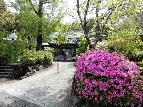 DSCN9590