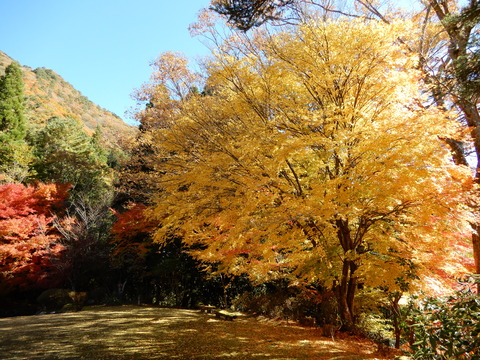 DSCN3193