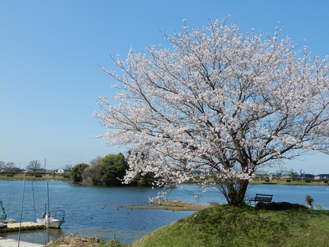 DSCN8316