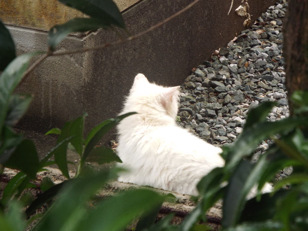 イメージ 2
