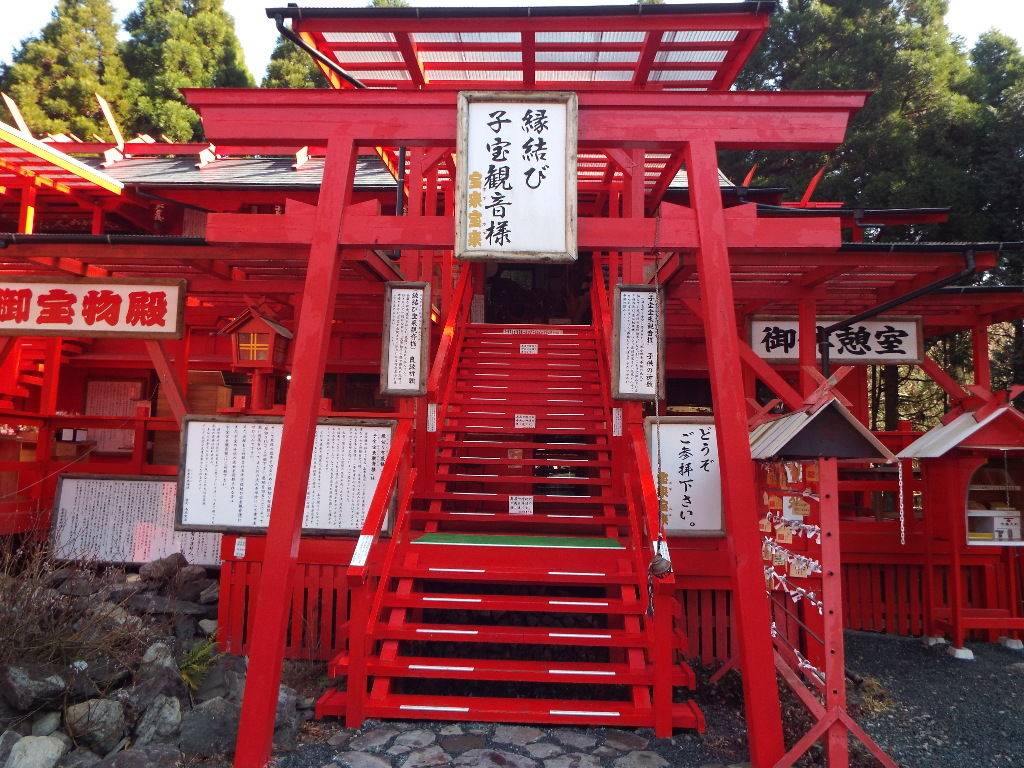 イメージ 5