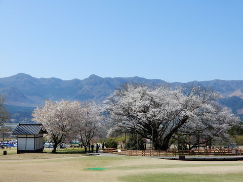 DSCN4252