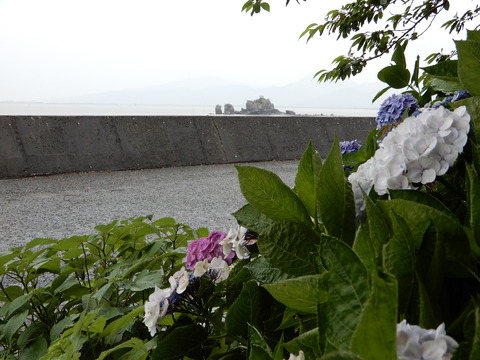 DSCN5817