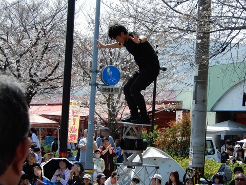 桜祭り５