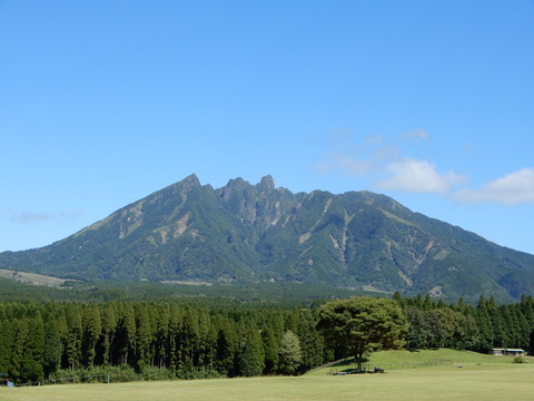 DSCN4851
