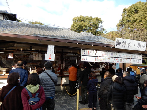 DSCN6554