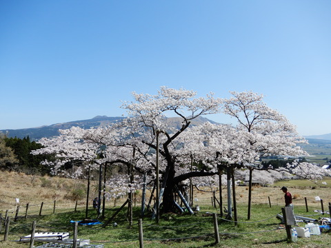 DSCN4282
