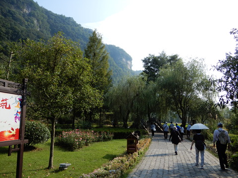 DSCN2256