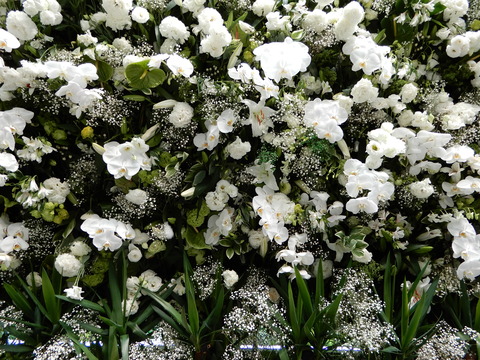 DSCN5670