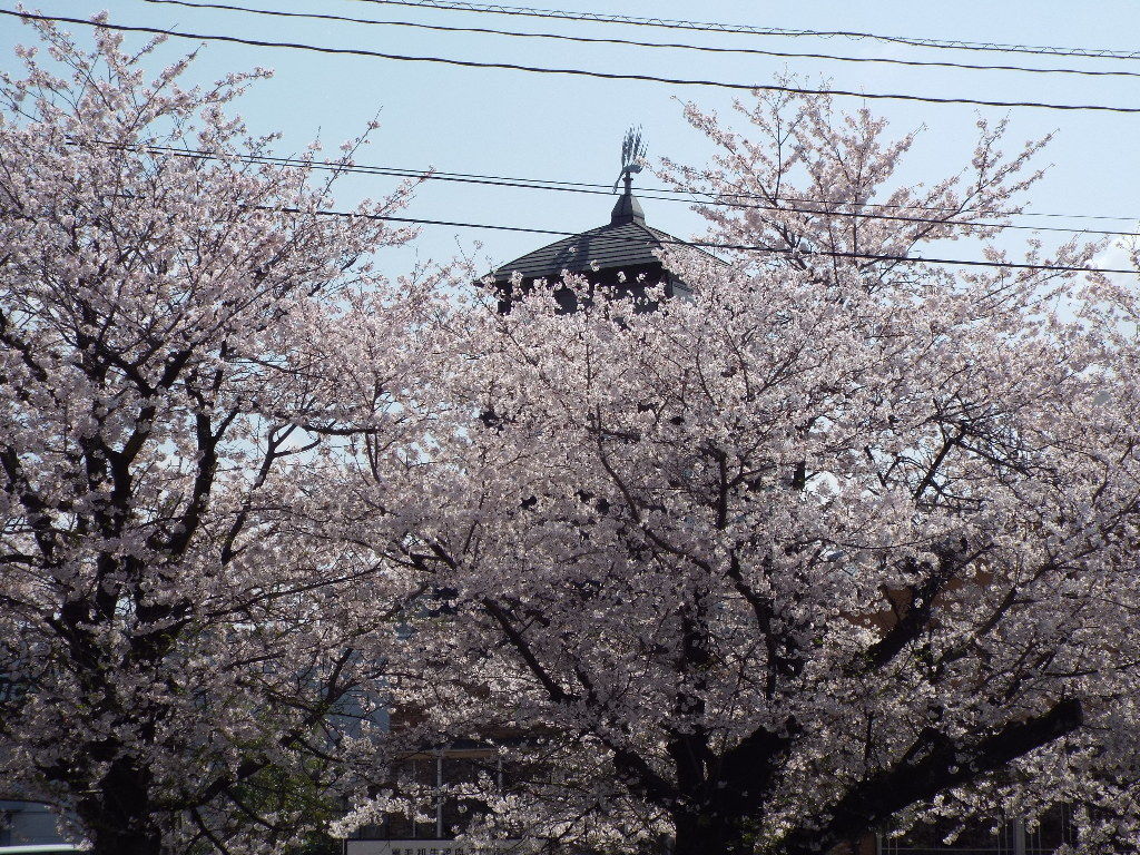 イメージ 4