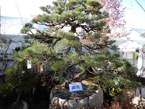 DSCN9309