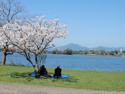 DSCN8330