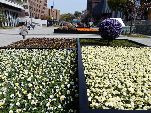 DSCN5331