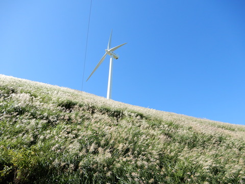 DSCN4815