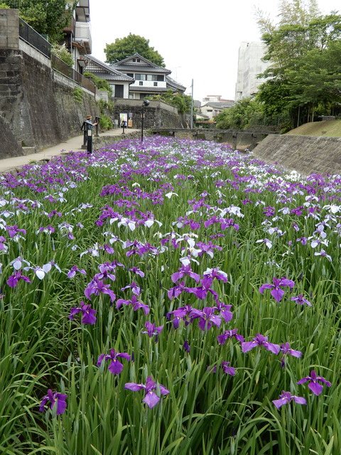 DSCN5705