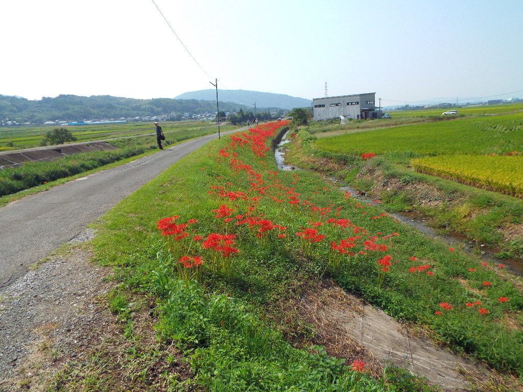 イメージ 9