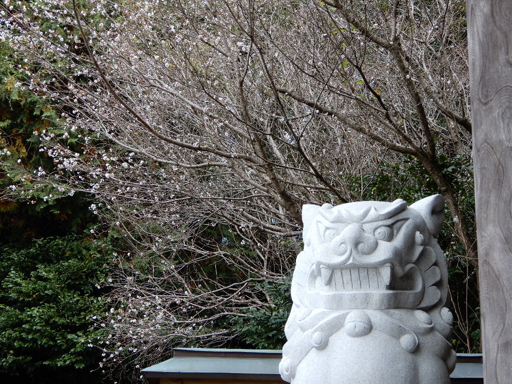 イメージ 6