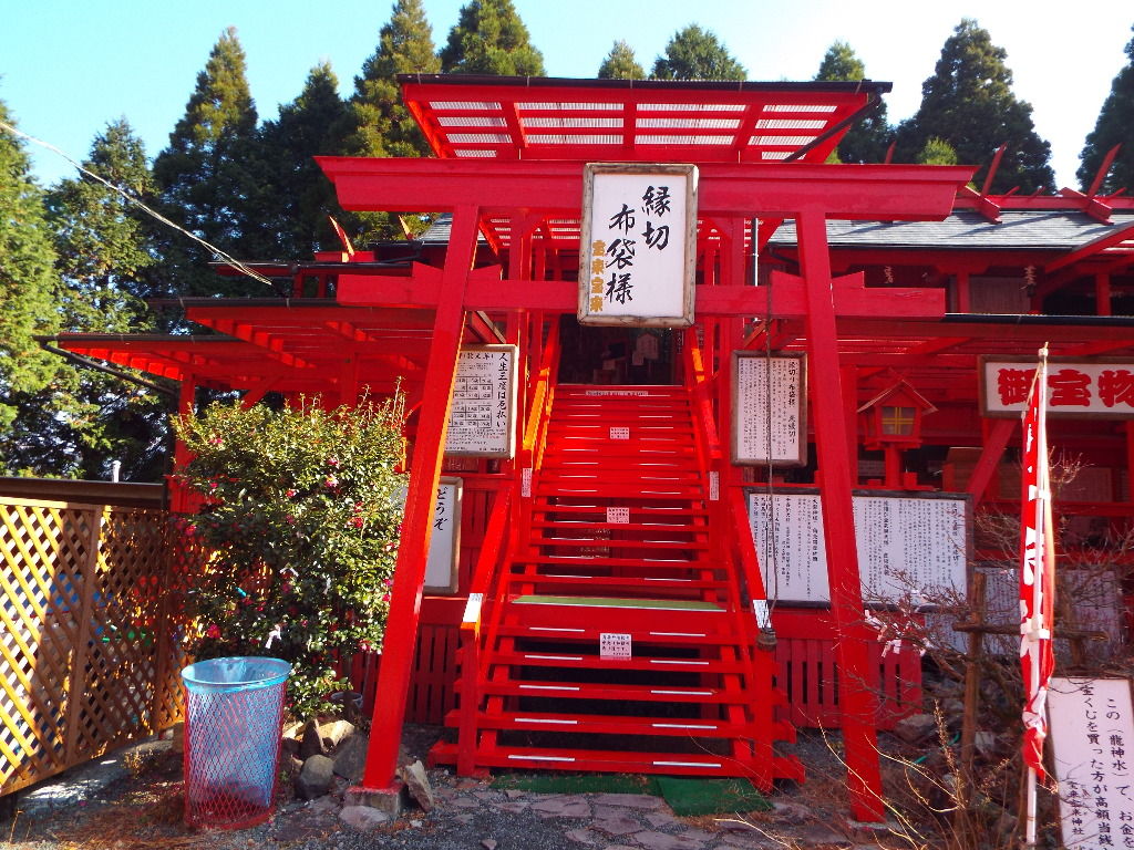 イメージ 7