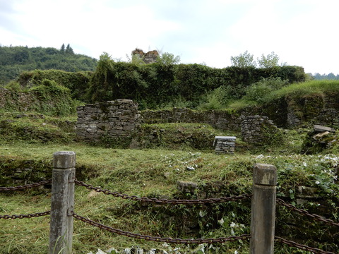 DSCN2714