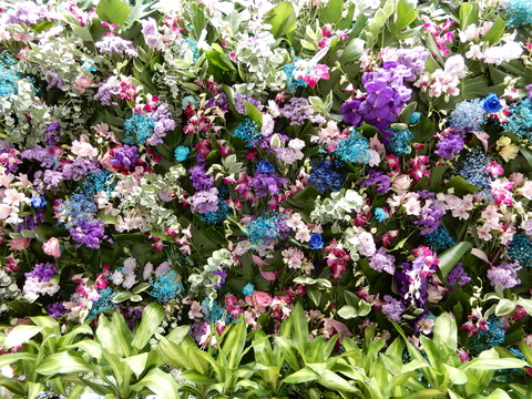 DSCN5675