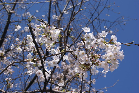 DSC00031