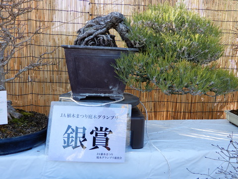 DSCN9302