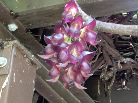 DSCN9594