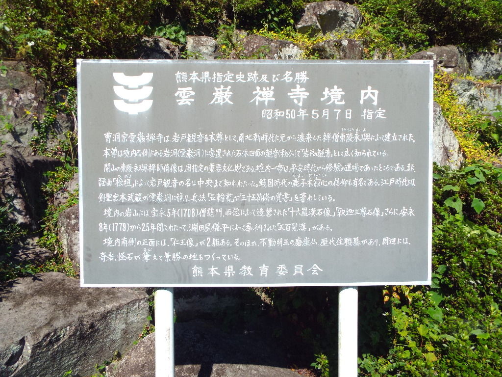 イメージ 8