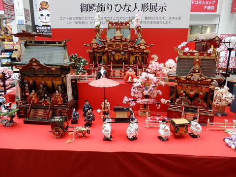 DSCN3449