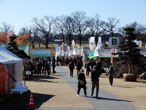 DSCN9199