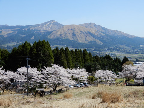 DSCN4279