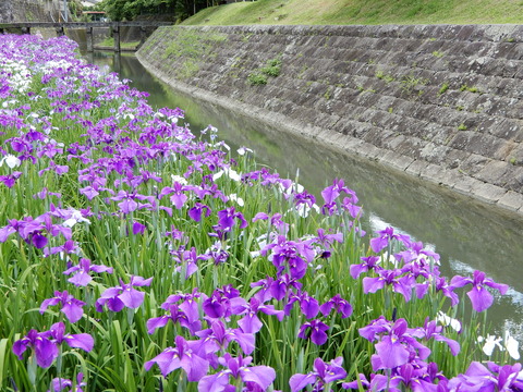 DSCN7290