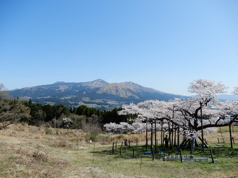 DSCN4284