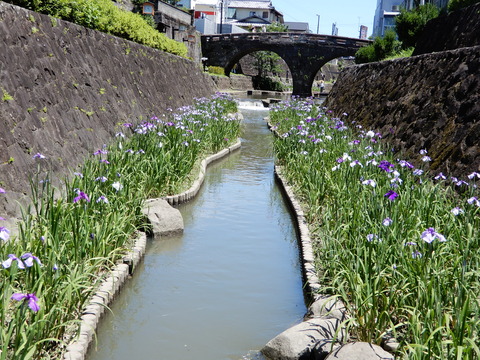 DSCN8613