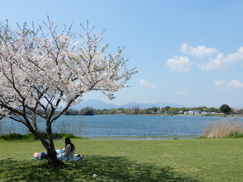 DSCN9559