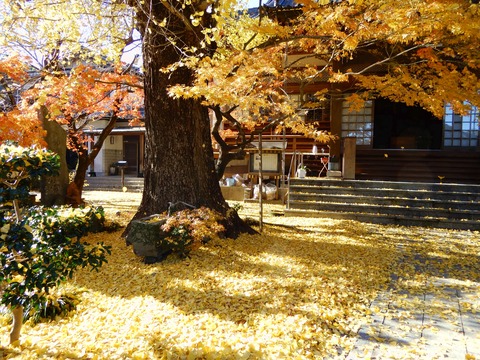岳林寺