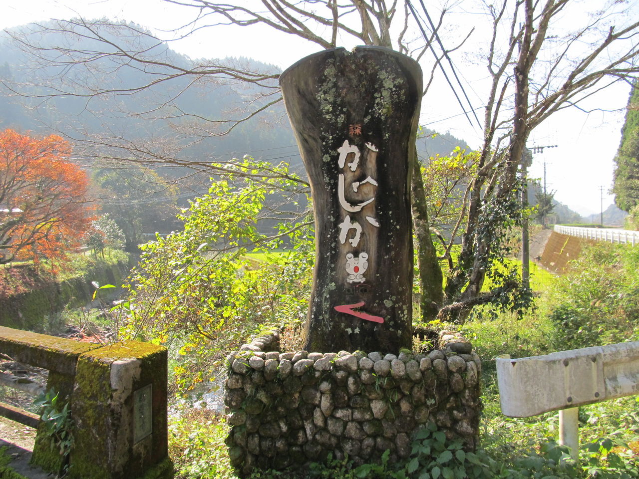 イメージ 12