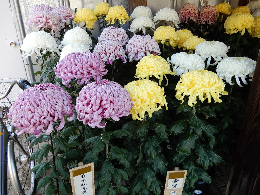 イメージ 1