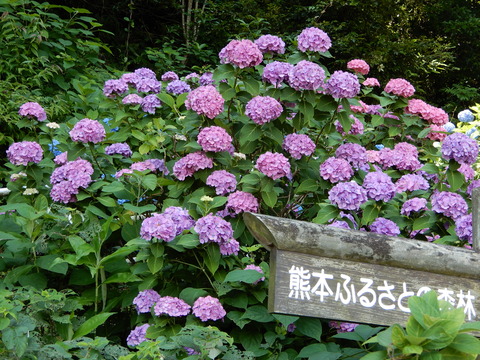 DSCN9807