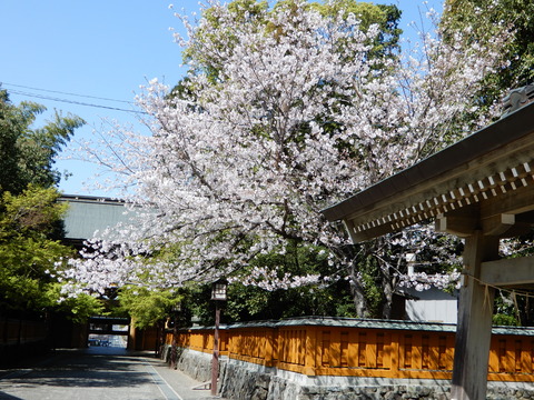 DSCN4226
