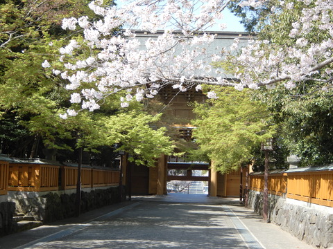 DSCN4229