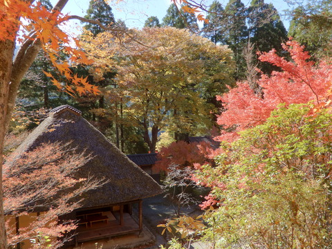DSCN3247