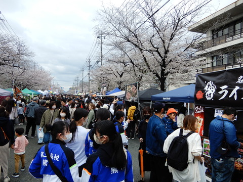 DSCN6828