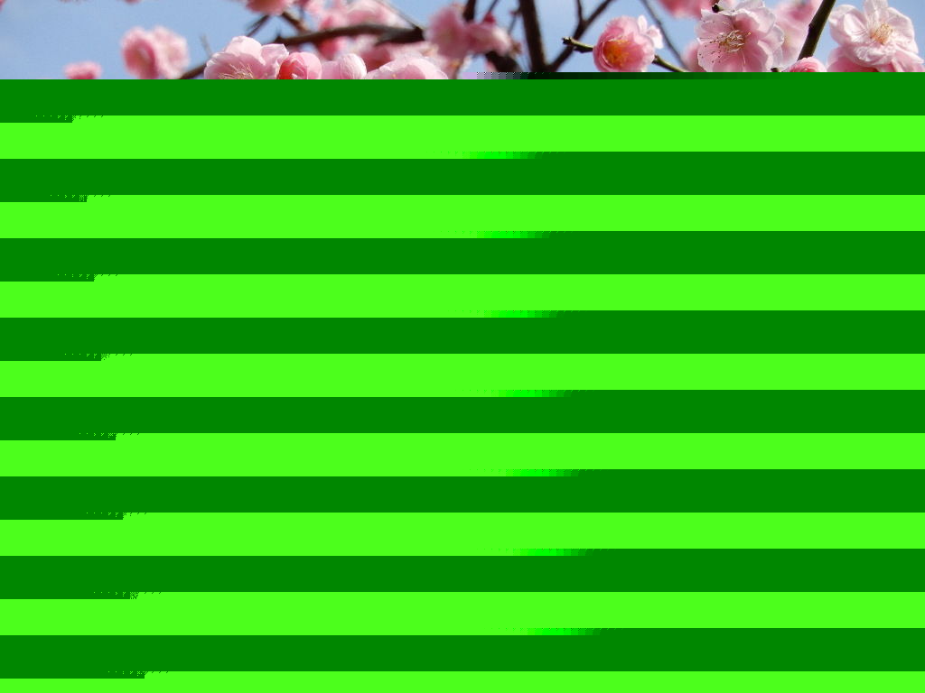 イメージ 4