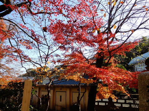 DSCN3316