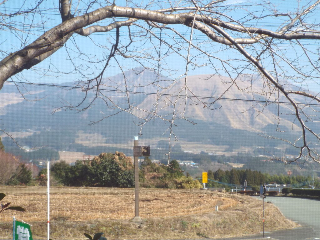 イメージ 8
