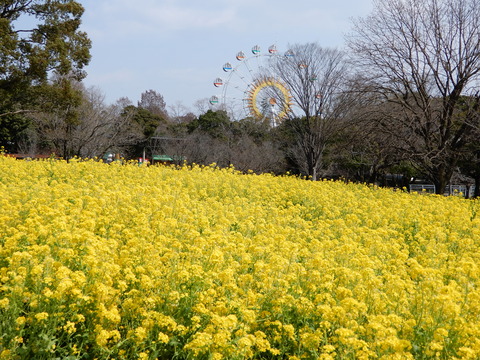 DSCN9308