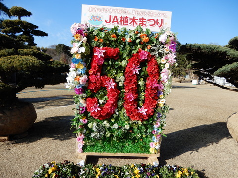 DSCN9290